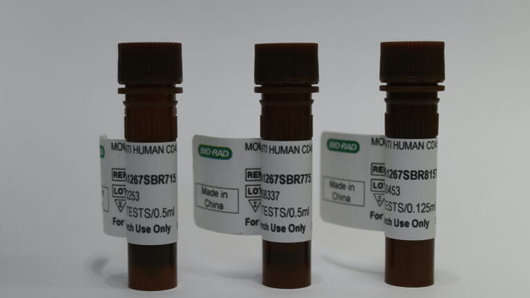 New dyes and antibody markers for enhanced immunology research