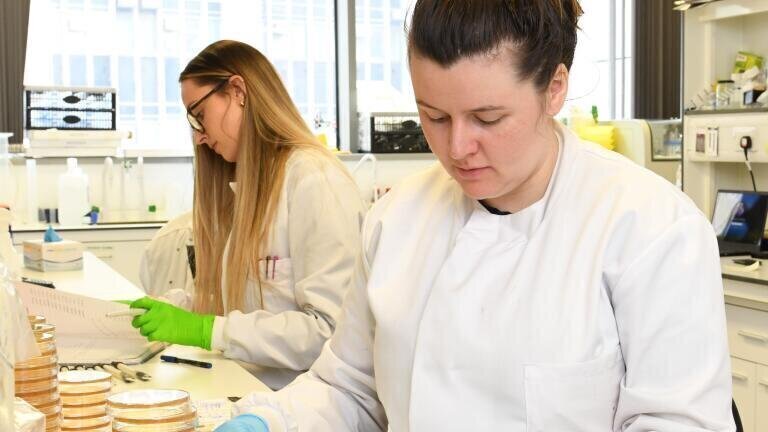 Work being conducted at some of LSTM's R&D labs.