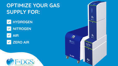 Optimise your gas supply with F-DGSi generators
