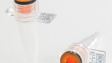 Preserving sample integrity in genetic testing workflows