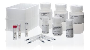 New kits for the automated extraction of high-molecular DNA