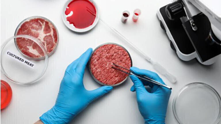 Cultured meat – a new era in food technology.