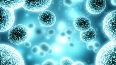 GLP-1R reporter cell line advances diabetes and obesity research