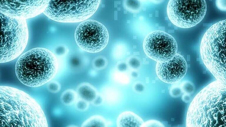 GLP-1R reporter cell line advances diabetes and obesity research