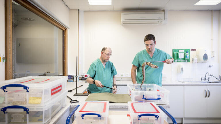 Professor Nicholas Casewell, (right) Liverpool School of Tropical Medicine. Photo credit Ben Gilbert