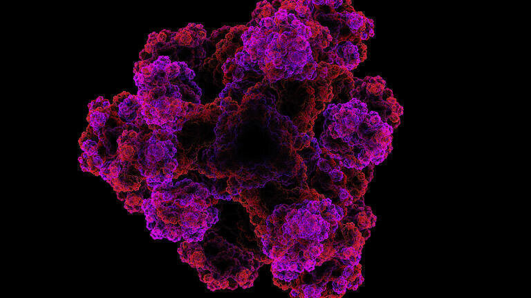 Reagents for protein studies - from separation to sequencing
