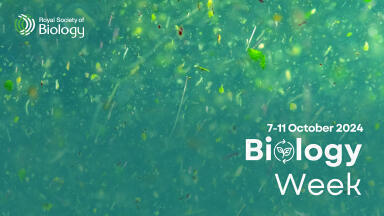 Celebrating biosciences with Biology Week 2024