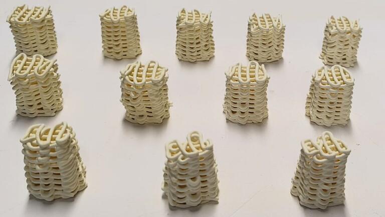 3-D ceramic infused lattices (Credit: University of Bath)