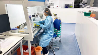 Revolutionising organoid manufacturing: Class 2 biological safety cabinets enhance sterility and efficiency at new life science facility