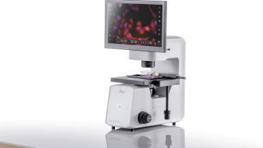 AI-enhanced workflows for advanced cell culture research