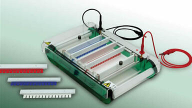 Cutting edge solutions for all electrophoresis applications - Scie-Plas is 1st Choice