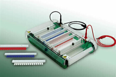 Cutting edge solutions for all electrophoresis applications - Scie-Plas is 1st Choice 