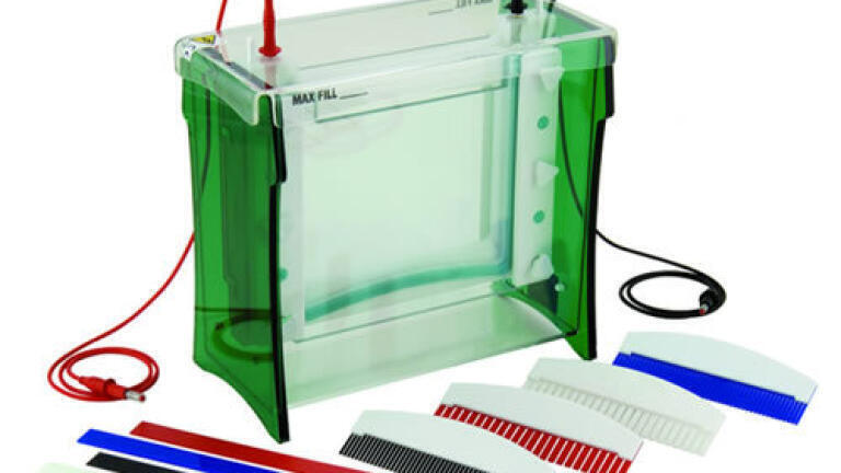 Cutting edge solutions for all electrophoresis applications - Scie-Plas is 1st Choice