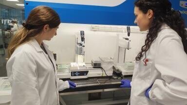 Streamlining microbiome analysis with magnetic bead solutions