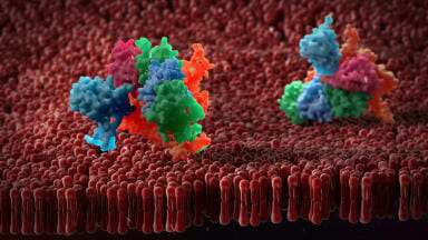 Problem-free preparation of active form membrane proteins