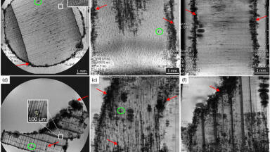 Magnetic resonance imaging also sheds light on history without destroying fragile finds – ancient Roman harbour wooden structures analysed at the University of Oulu, Finland