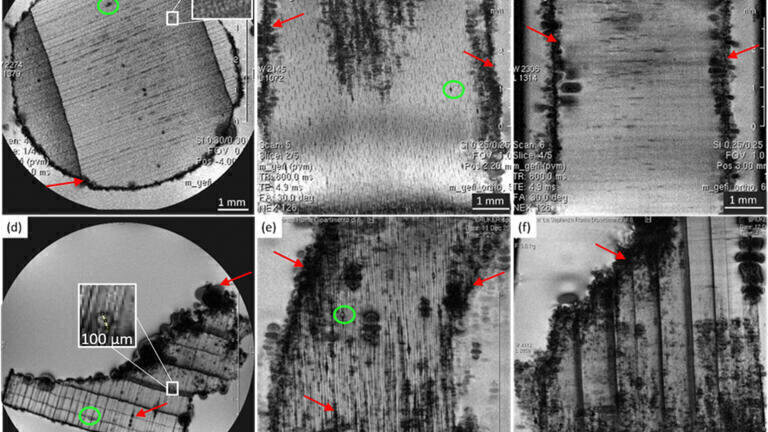 Magnetic resonance imaging also sheds light on history without destroying fragile finds – ancient Roman harbour wooden structures analysed at the University of Oulu, Finland