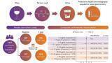 Relationship established between moderate wine consumption and improved cardiovascular health