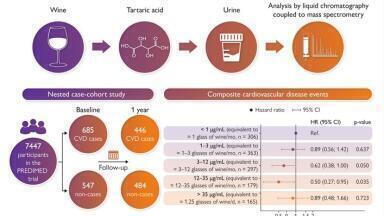 Relationship established between moderate wine consumption and improved cardiovascular health