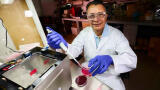 Localised magnetic fields boost chemotherapy uptake in breast cancer treatment