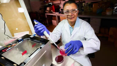 Localised magnetic fields boost chemotherapy uptake in breast cancer treatment
