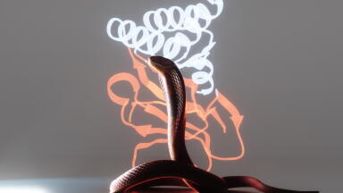 AI-designed proteins shown to neutralise snake venom toxins