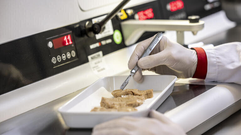 Work in the lab.
Credit: Med Uni Graz/Lunghammer