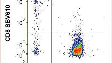 Fluorescent labelling kits for flow cytometry and western blots