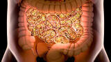 Decoding how gut bacteria feed on mucus sugars