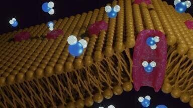 £500,000 grant funds cutting-edge microscopy for dementia research