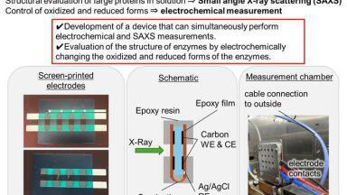 Electrochemical x-ray scattering unlocks secrets of redox enzymes