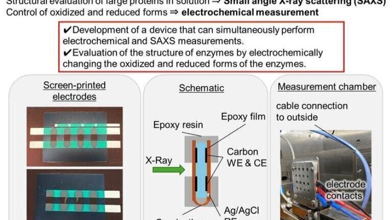 Electrochemical x-ray scattering unlocks secrets of redox enzymes