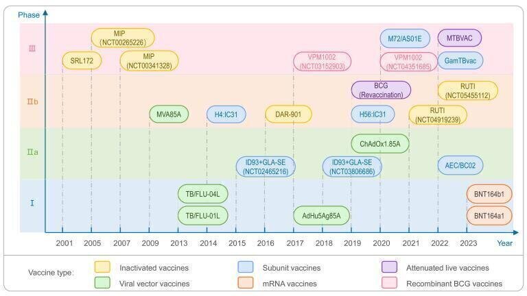 Breakthroughs in tuberculosis vaccine and drug development pave way for global health advancements