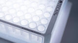 Simple extraction of THC metabolites from urine with a single plate