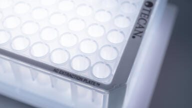 Simple extraction of THC metabolites from urine with a single plate