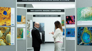 2025 RMS Scientific Imaging Competition: Submit your entries now