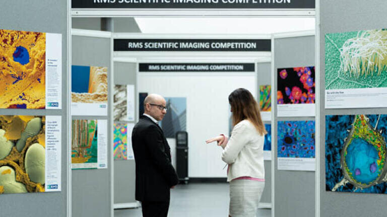 2025 RMS Scientific Imaging Competition: Submit your entries now