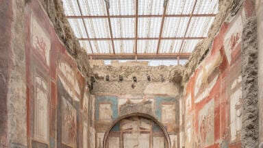 Microscopy reveals how brain turned to glass in volcanic eruption at Pompeii