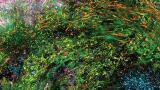 Advancing 3D spatial analysis with high-multiplex imaging