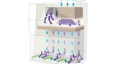 10 Tips for Working Safely in the Laboratory with Your Biosafety Cabinet