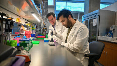 Blood test makes early detection of pancreatic cancer with 85% accuracy