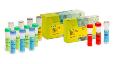 Expanded kit range enhances AAV vector characterisation