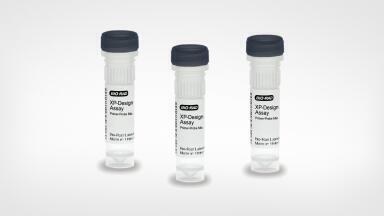 Salmonella serotyping solution enhances food safety testing