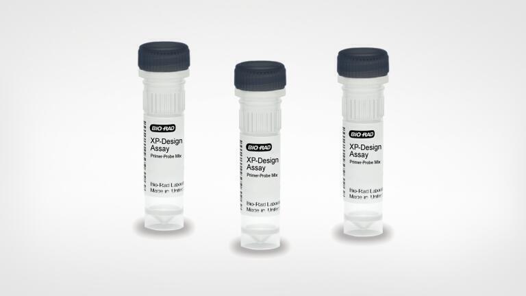 Salmonella serotyping solution enhances food safety testing