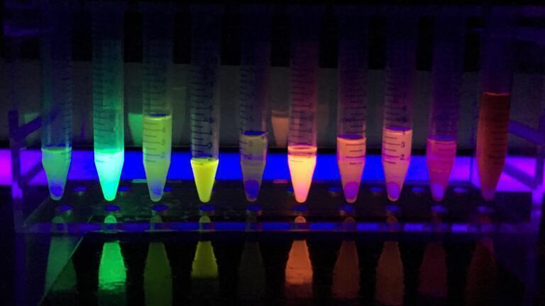 Pathogens detected in blood at low concentrations by novel CRISPR test