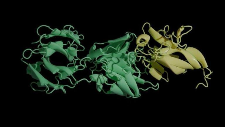 Vaccine escape and zoonotic risk in evolutionary future of H5N1 influenza virus: UNC Charlotte study