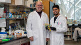 Antibacterial compound found: McMaster team discovers wholly new class of antibiotics