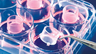 Maximum Flexibility for Cell Culture Assays: The BRAND Insert 2in1