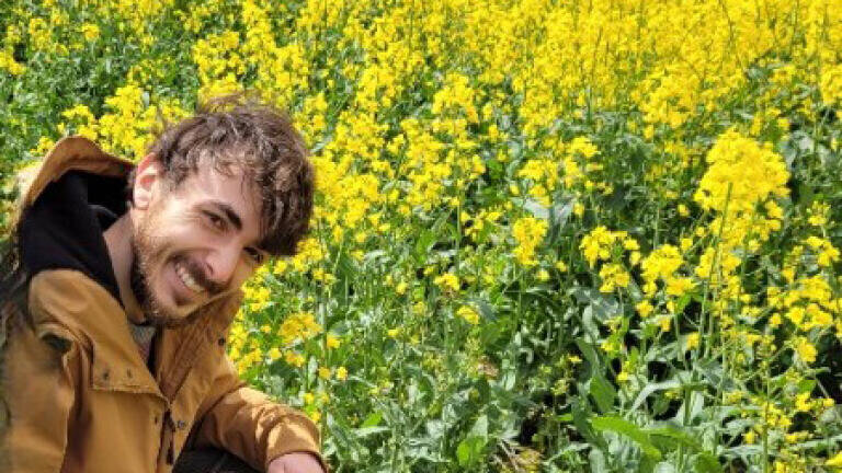Cameras uncover natural predators controlling oilseed rape pests  
