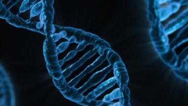 Method to identify genetic variations linked to asthma onset developed by University of Chicago